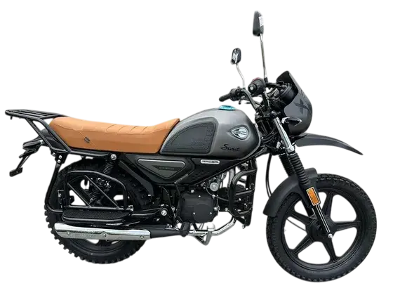 Picture of the author