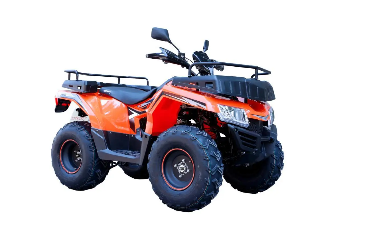 Picture of the author